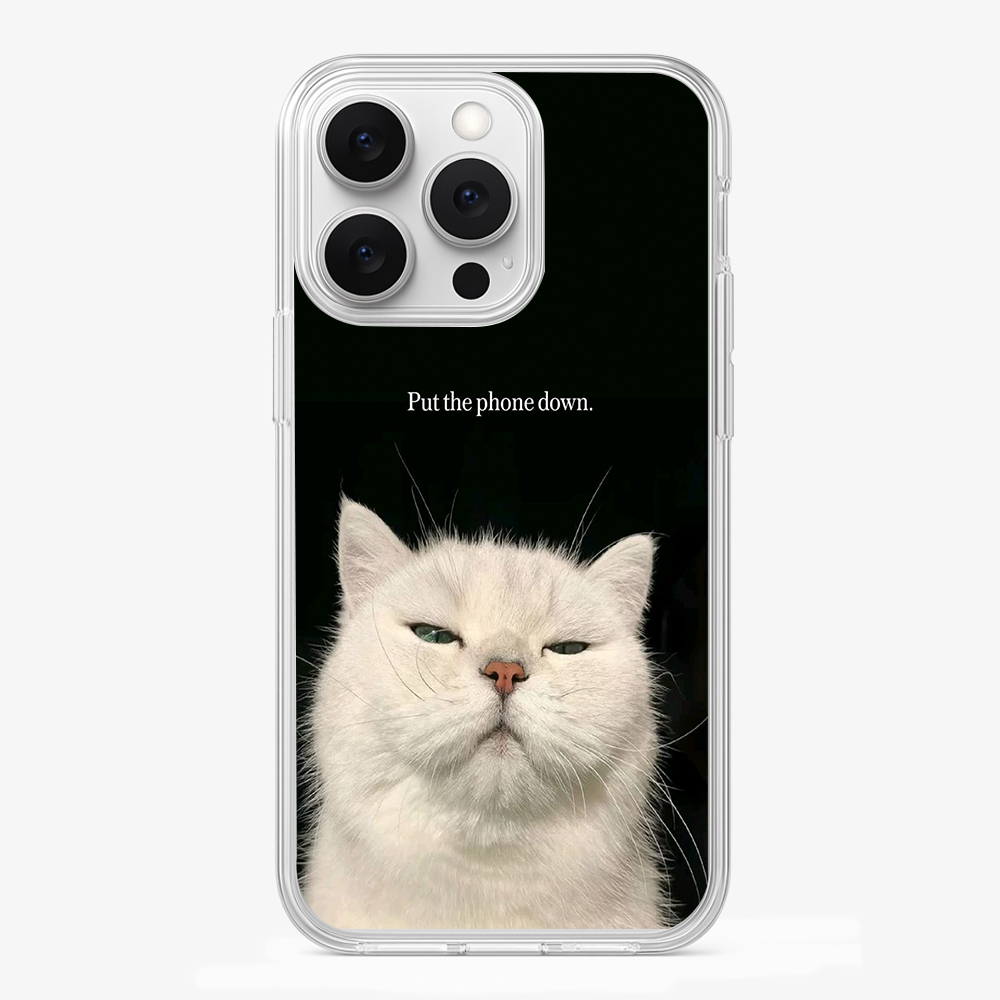 Put The Phone Down Case